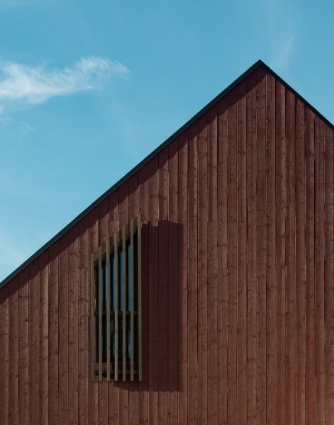 WPC Cladding